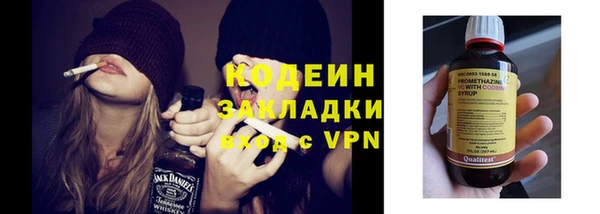 прущие крисы Пересвет