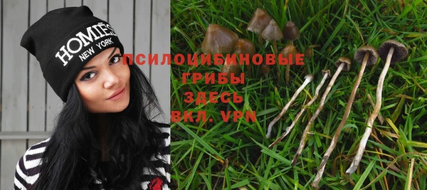 ешки Абинск