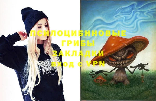 ешки Абинск