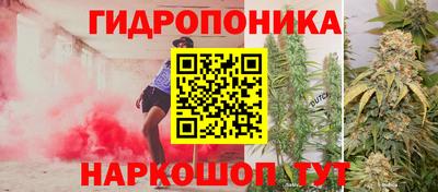 гидропоника Тулун