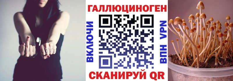 цены   Красноперекопск  Псилоцибиновые грибы MAGIC MUSHROOMS 